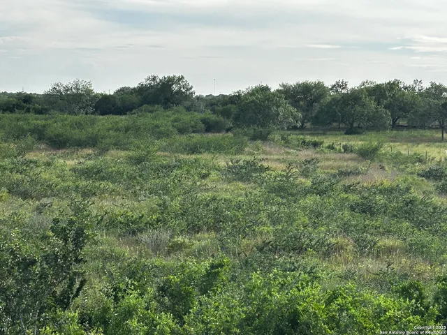a view of a field of grass and trees