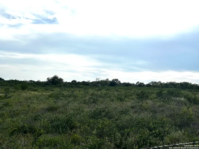 a view of a field of grass and trees