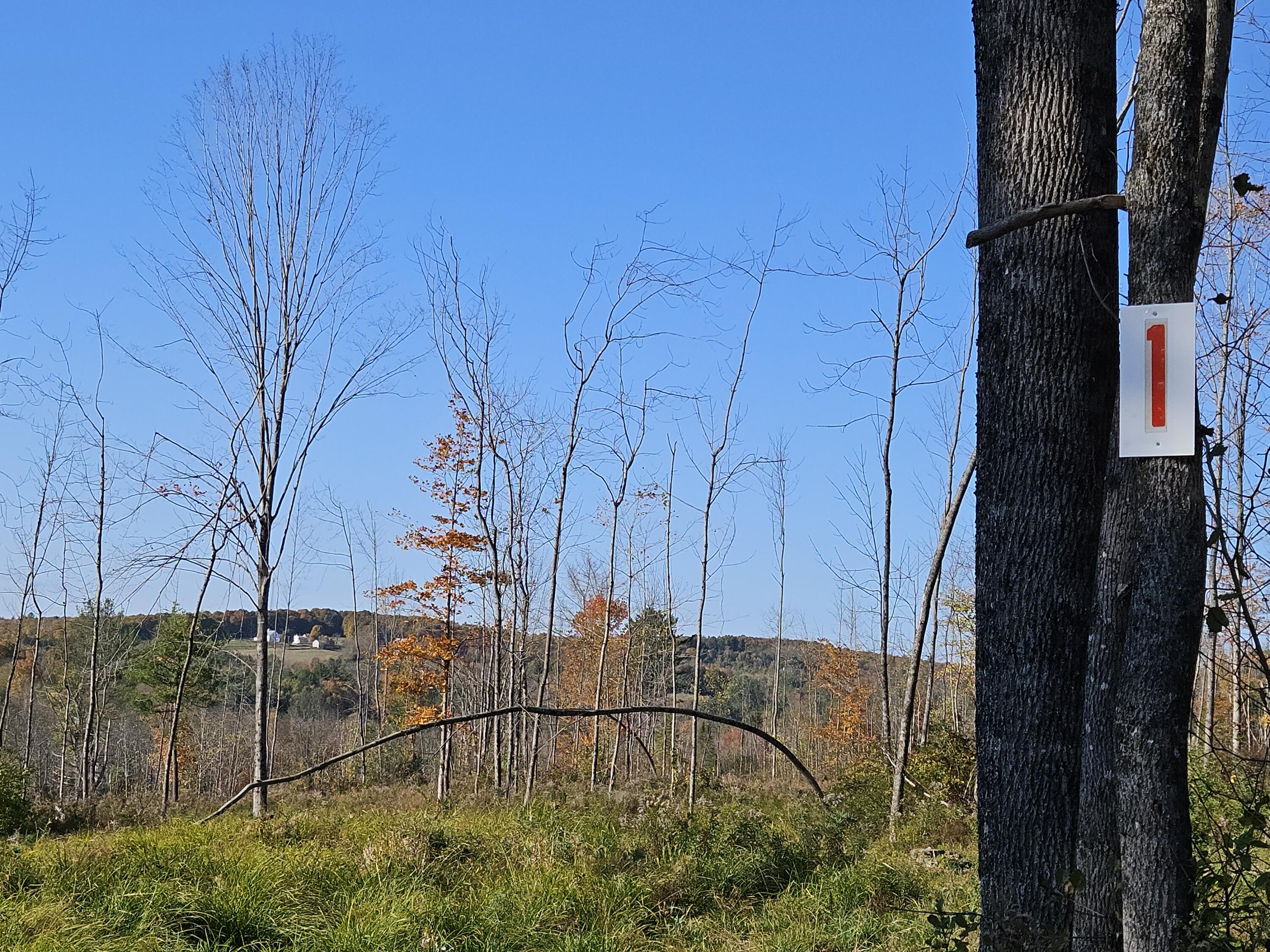 R11-033-1 Bailey Hill Road Farmington, ME 04938 - Photo 12 of 29 20241011_152731