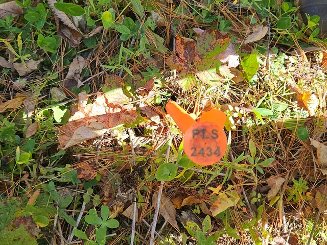 $65,000 | R11-033-1 Bailey Hill Road, Farmington, ME 04938