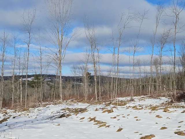 $65,000 | R11-033-1 Bailey Hill Road, Farmington, ME 04938