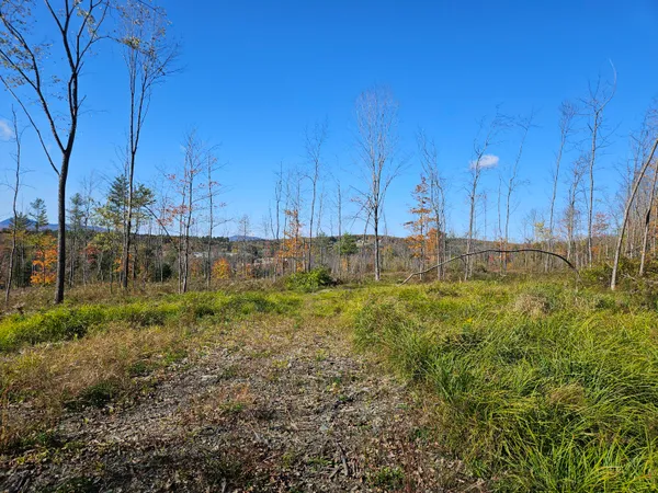 $65,000 | R11-033-1 Bailey Hill Road, Farmington, ME 04938
