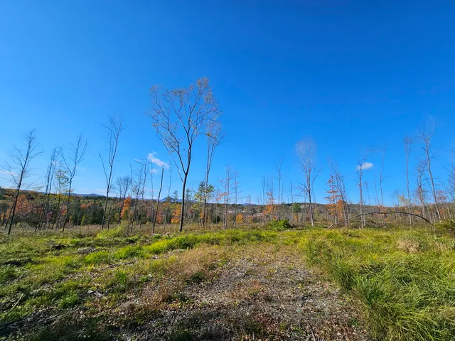 $65,000 | R11-033-1 Bailey Hill Road, Farmington, ME 04938