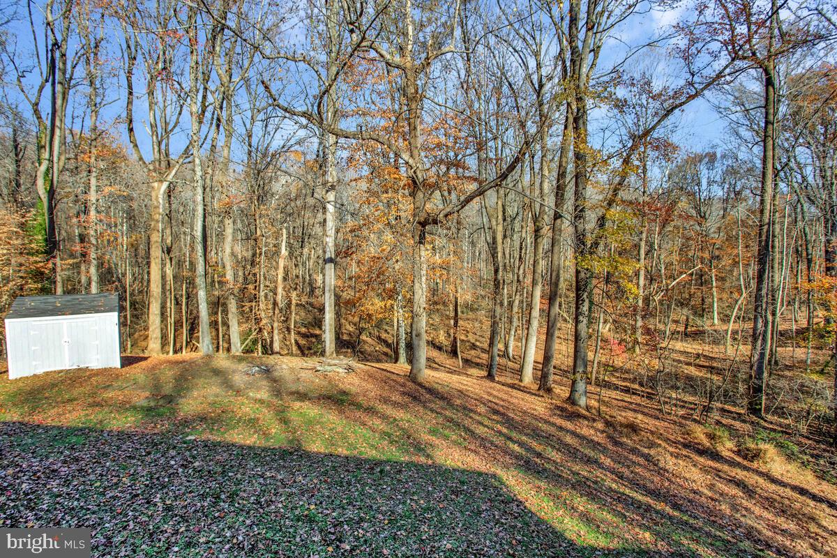 9230 Sam Owing's Place Owings, MD 20736 - Photo 40 of 44 a view of large trees with yard