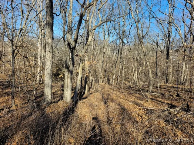 $7,000 | 1-3 5 Dogwood Lake Drive, Stover, MO 65078