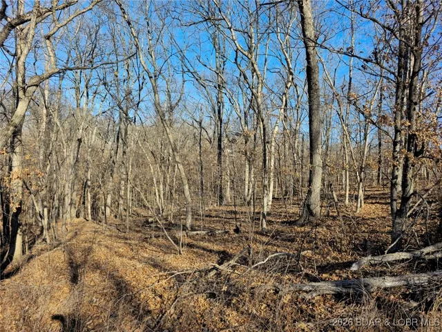 $7,000 | 1-3 5 Dogwood Lake Drive, Stover, MO 65078