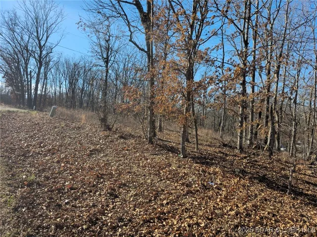 $7,000 | 1-3 5 Dogwood Lake Drive, Stover, MO 65078