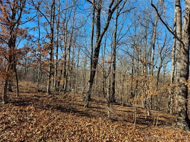 $7,000 | 1-3 5 Dogwood Lake Drive, Stover, MO 65078