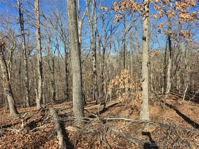 $7,000 | 1-3 5 Dogwood Lake Drive, Stover, MO 65078