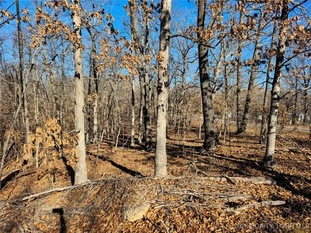 $7,000 | 1-3 5 Dogwood Lake Drive, Stover, MO 65078