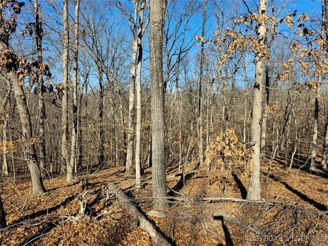 $7,000 | 1-3 5 Dogwood Lake Drive, Stover, MO 65078