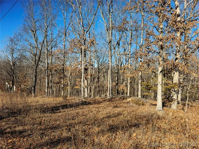 $7,000 | 1-3 5 Dogwood Lake Drive, Stover, MO 65078