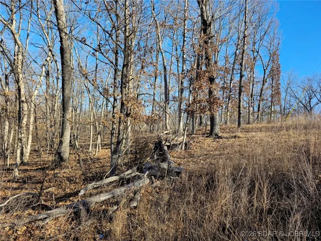 $7,000 | 1-3 5 Dogwood Lake Drive, Stover, MO 65078