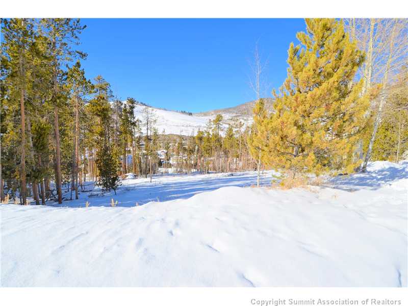 99 Forest Canyon Road Dillon, CO 80435 - Photo 11 of 25 Exterior Front. A short walk to the Tenderfoot Trail.