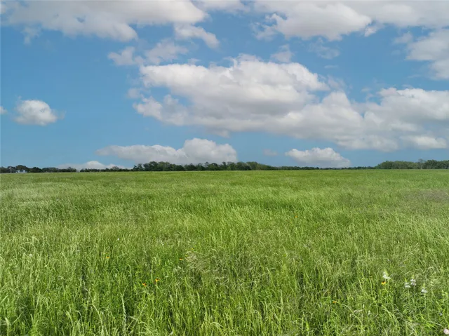 $750,000 | 5 Pacen Place, Chappell Hill, TX 77426