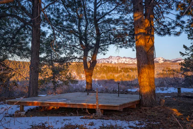 a view of a yard with wooden fence