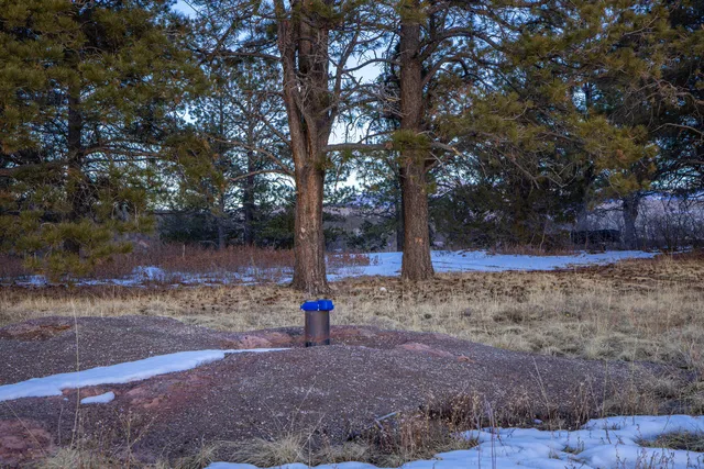 a view of a yard with a tree
