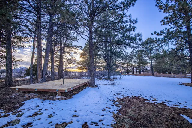 a view of backyard with tree