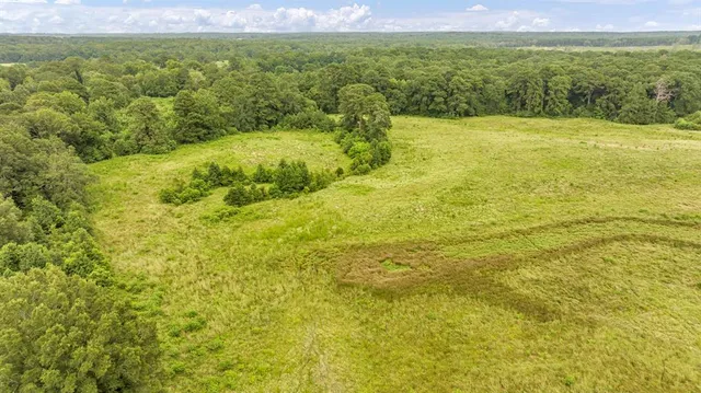 $639,200 | 435 County Road 435, Tenaha, TX 75974