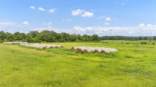 $639,200 | 435 County Road 435, Tenaha, TX 75974
