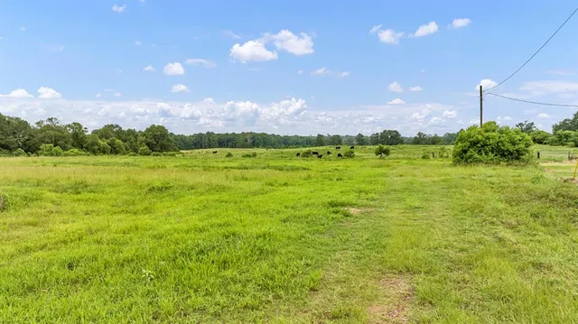 $639,200 | 435 County Road 435, Tenaha, TX 75974