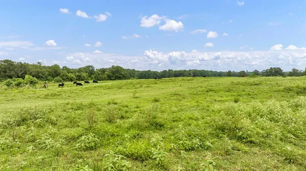 $639,200 | 435 County Road 435, Tenaha, TX 75974