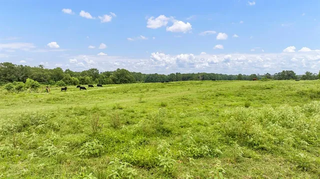 $639,200 | 435 County Road 435, Tenaha, TX 75974