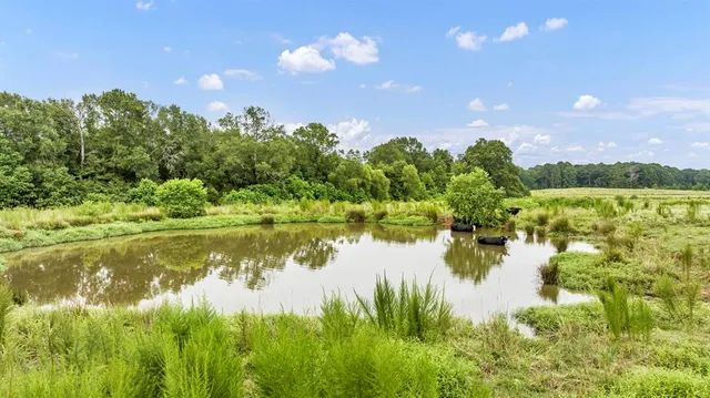 $639,200 | 435 County Road 435, Tenaha, TX 75974