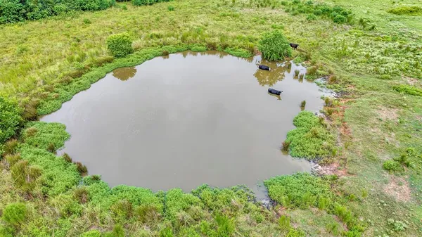 $639,200 | 435 County Road 435, Tenaha, TX 75974