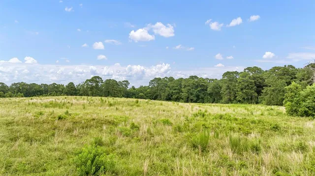 $639,200 | 435 County Road 435, Tenaha, TX 75974