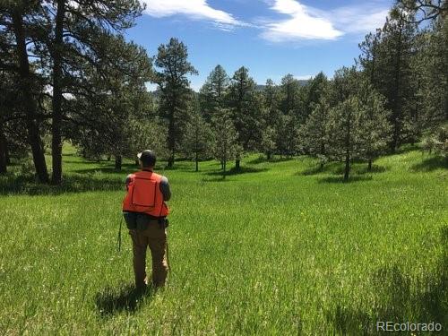 24006 Currant Drive Golden, CO 80401 - Photo 29 of 32