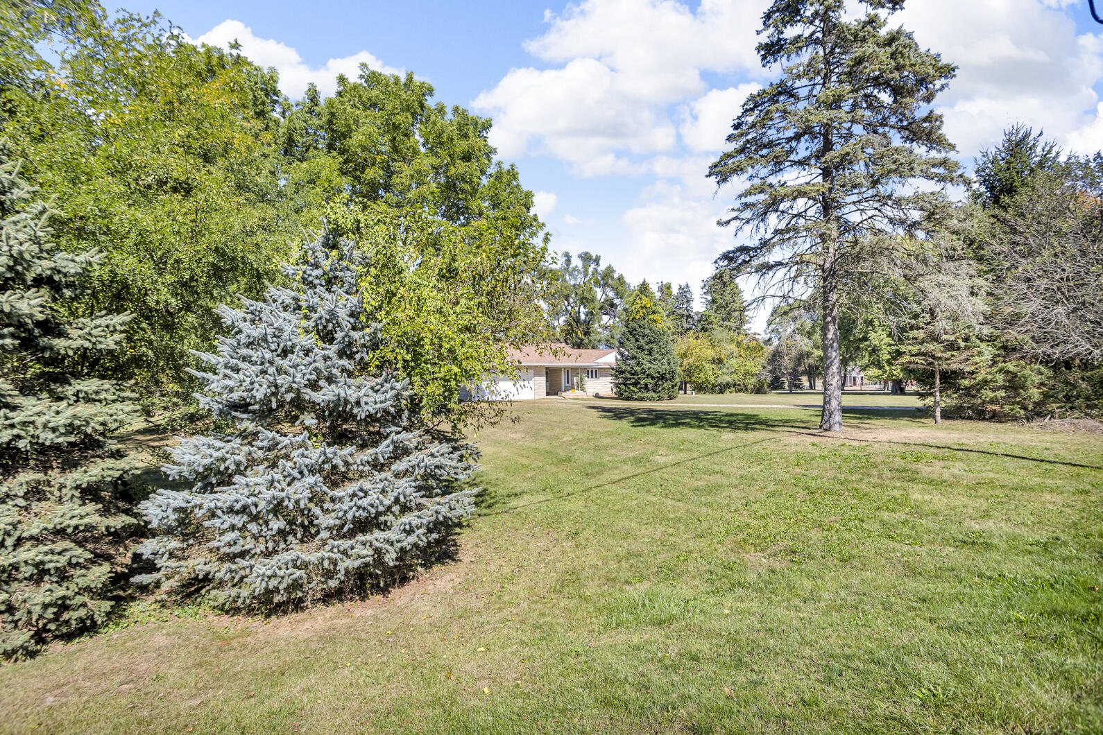 4598 Seymour Road Jackson, MI 49201 - Photo 13 of 54 0N0A5045