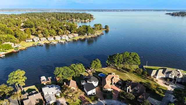 a view of a flower in a lot