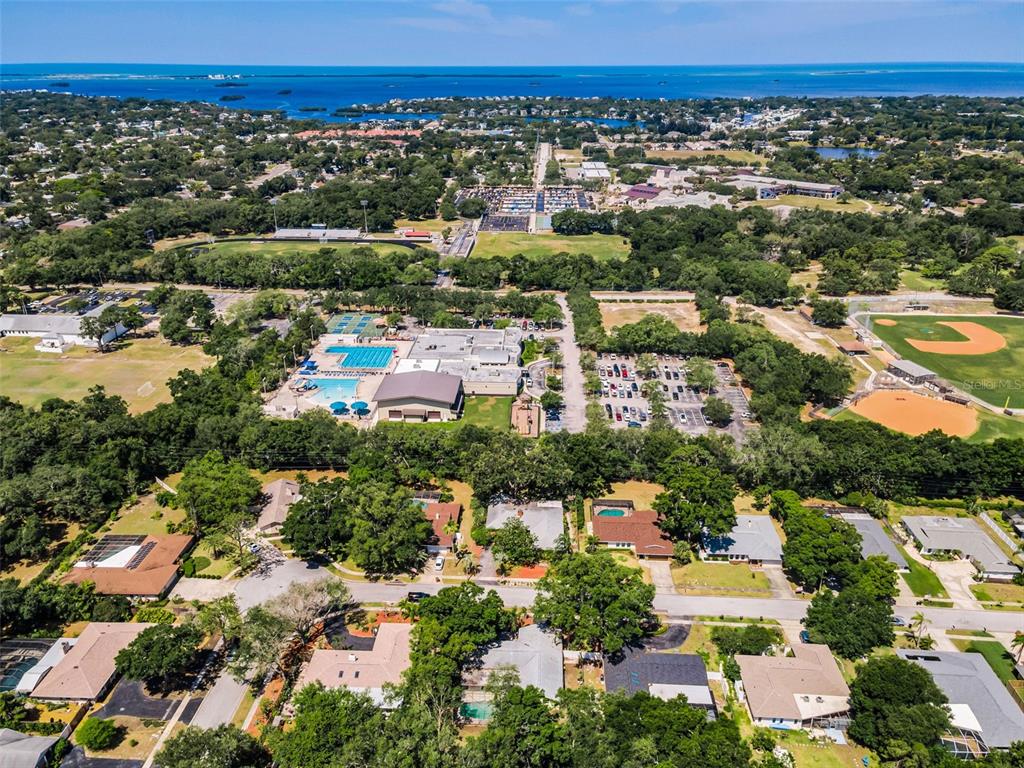 520 Sandy Hook Road Palm Harbor, FL 34683 - Photo 51 of 76