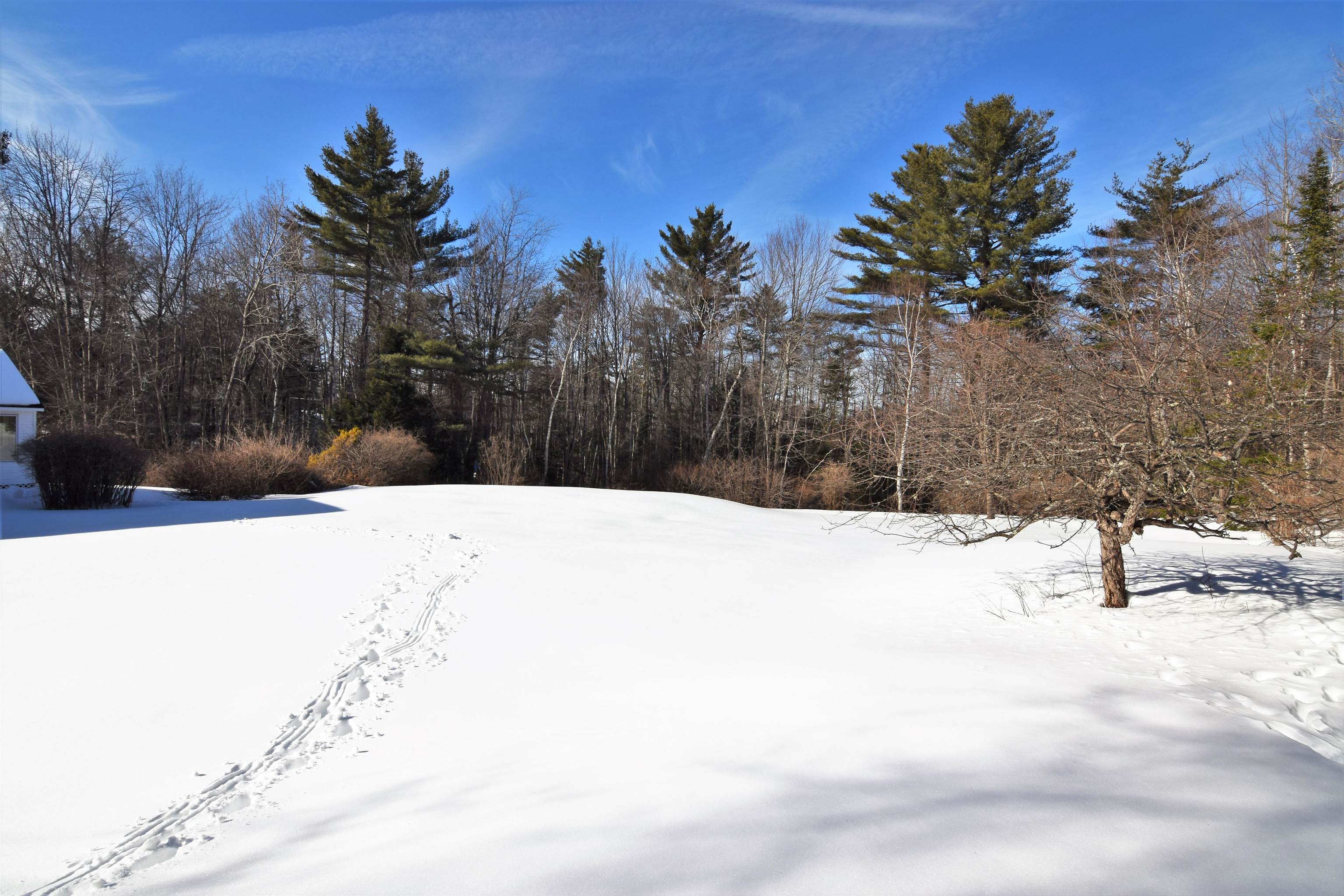 130 Pine Ridge Road Sunapee, NH 03782 - Photo 4 of 35