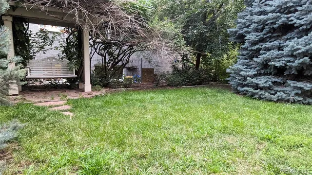 a view of a garden with a bench and trees