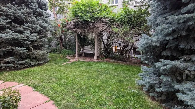 a view of a backyard with couches plants and large trees