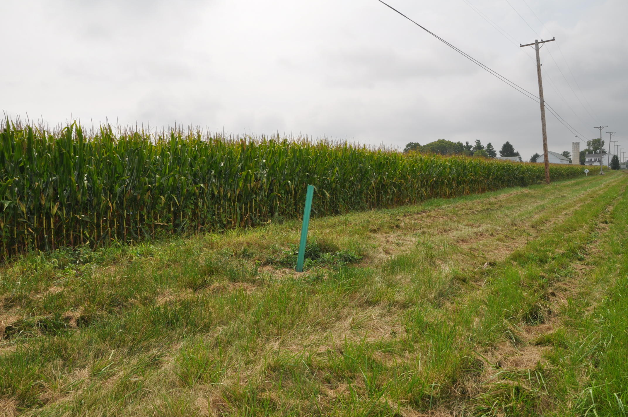 0 South State Road Tipp City, OH 45371 - Photo 13 of 14