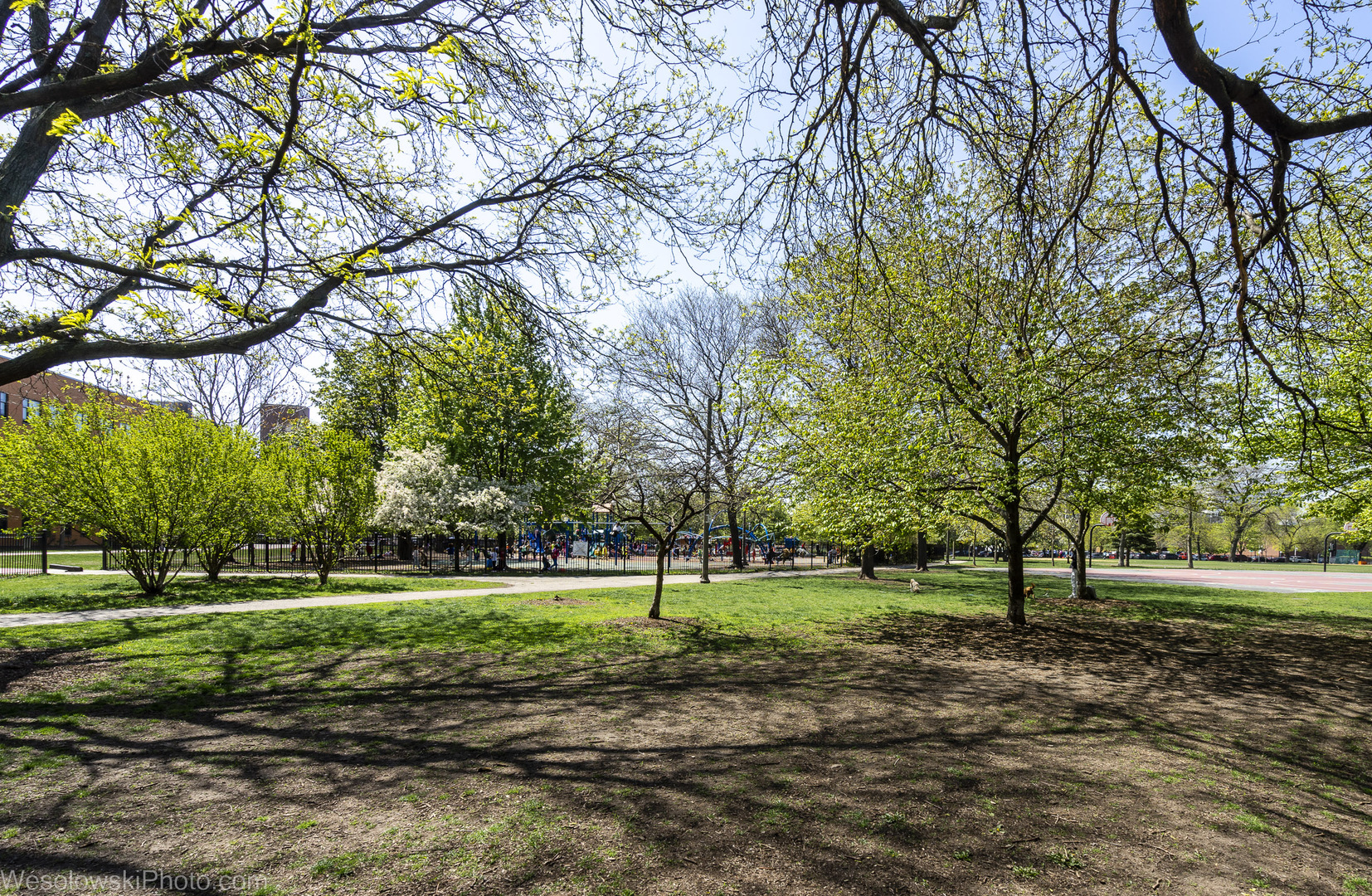 15 South Throop Street, Unit 503 Chicago, IL 60607 - Photo 19 of 20 a view of a park with tree s