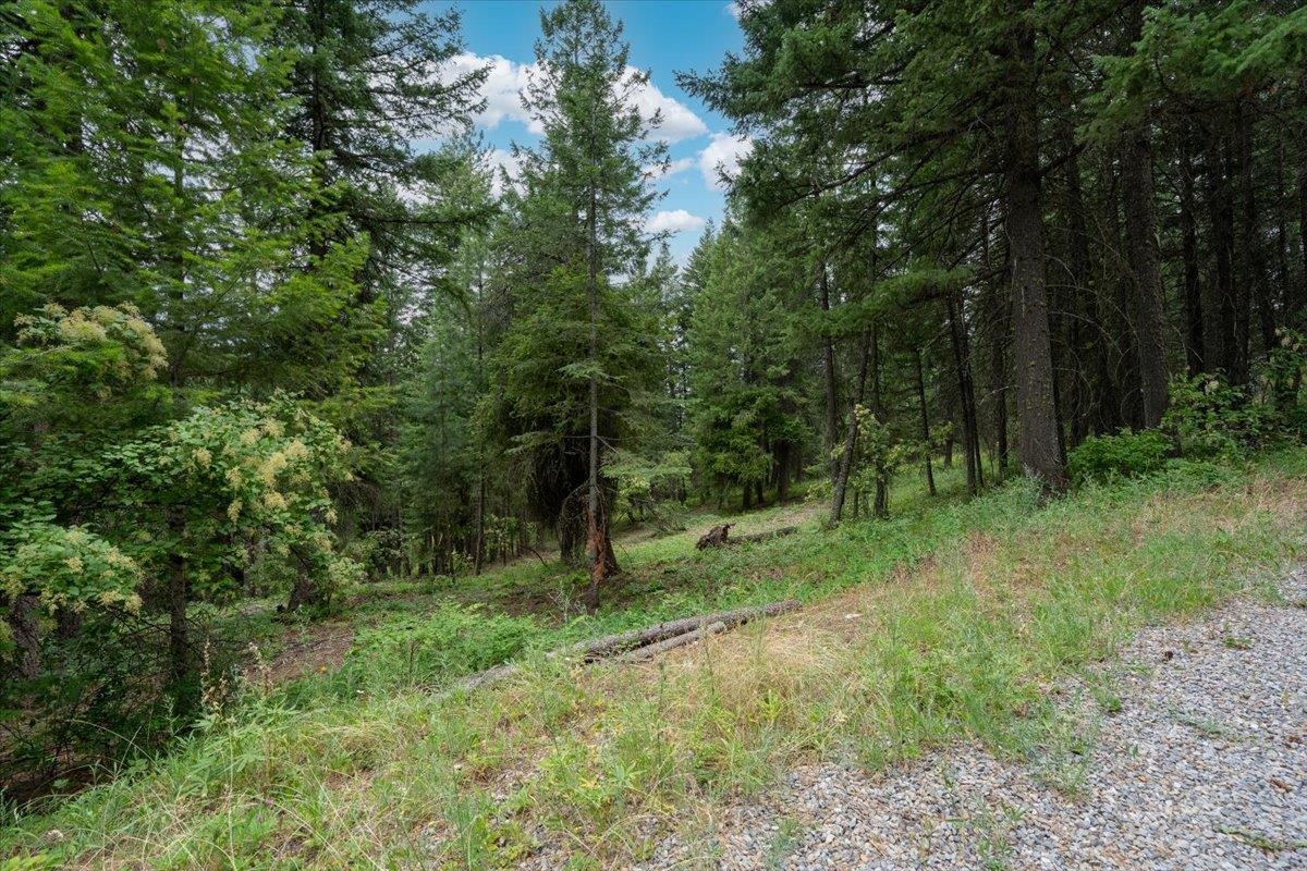 28420 Thunderhill Road Chattaroy, WA 99003 - Photo 7 of 26 Gallery Image 7
