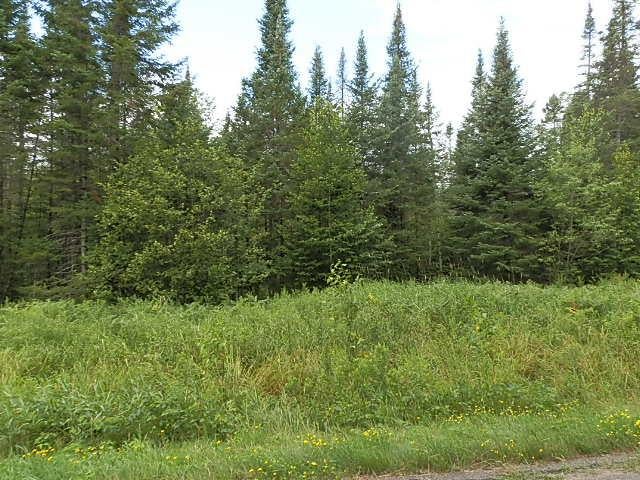 W6530 Old 182 Road Park Falls, WI 54552 - Photo 3 of 22 Gallery Image 3