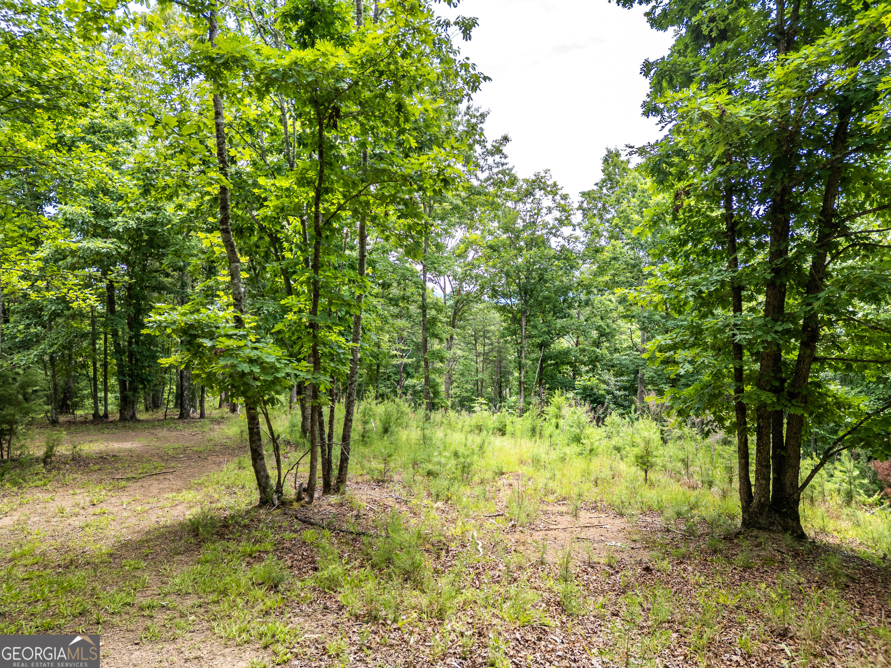 1 Stormy Ridge Brasstown, NC 28902 - Photo 4 of 20