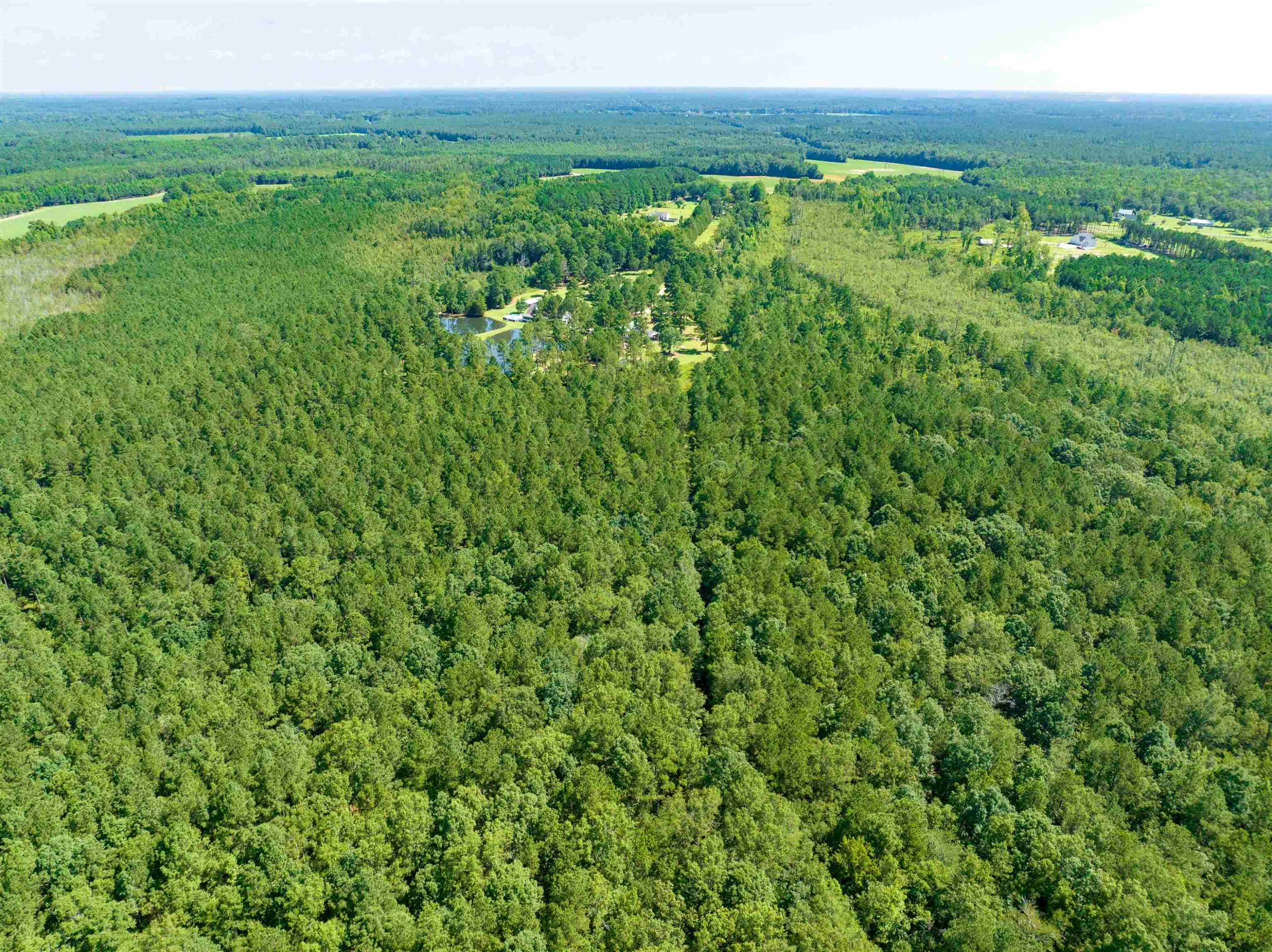 8437 James Atkinson Road Linden, NC 28356 - Photo 8 of 61 Photo 8