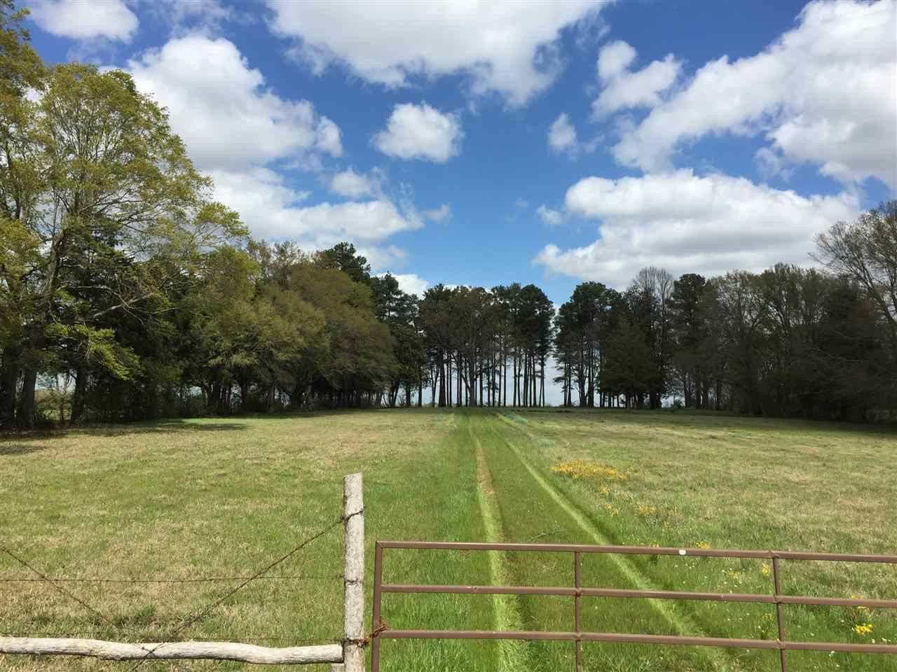 0 Kickapoo Road Jackson, MS 39209 - Photo 1 of 6 Photo 1