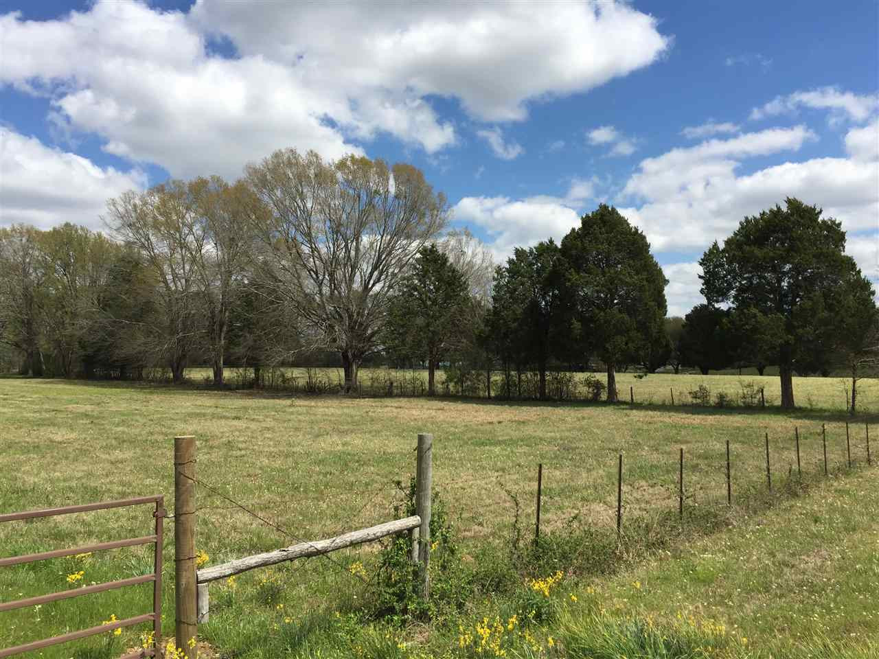 0 Kickapoo Road Jackson, MS 39209 - Photo 3 of 6 Photo 3