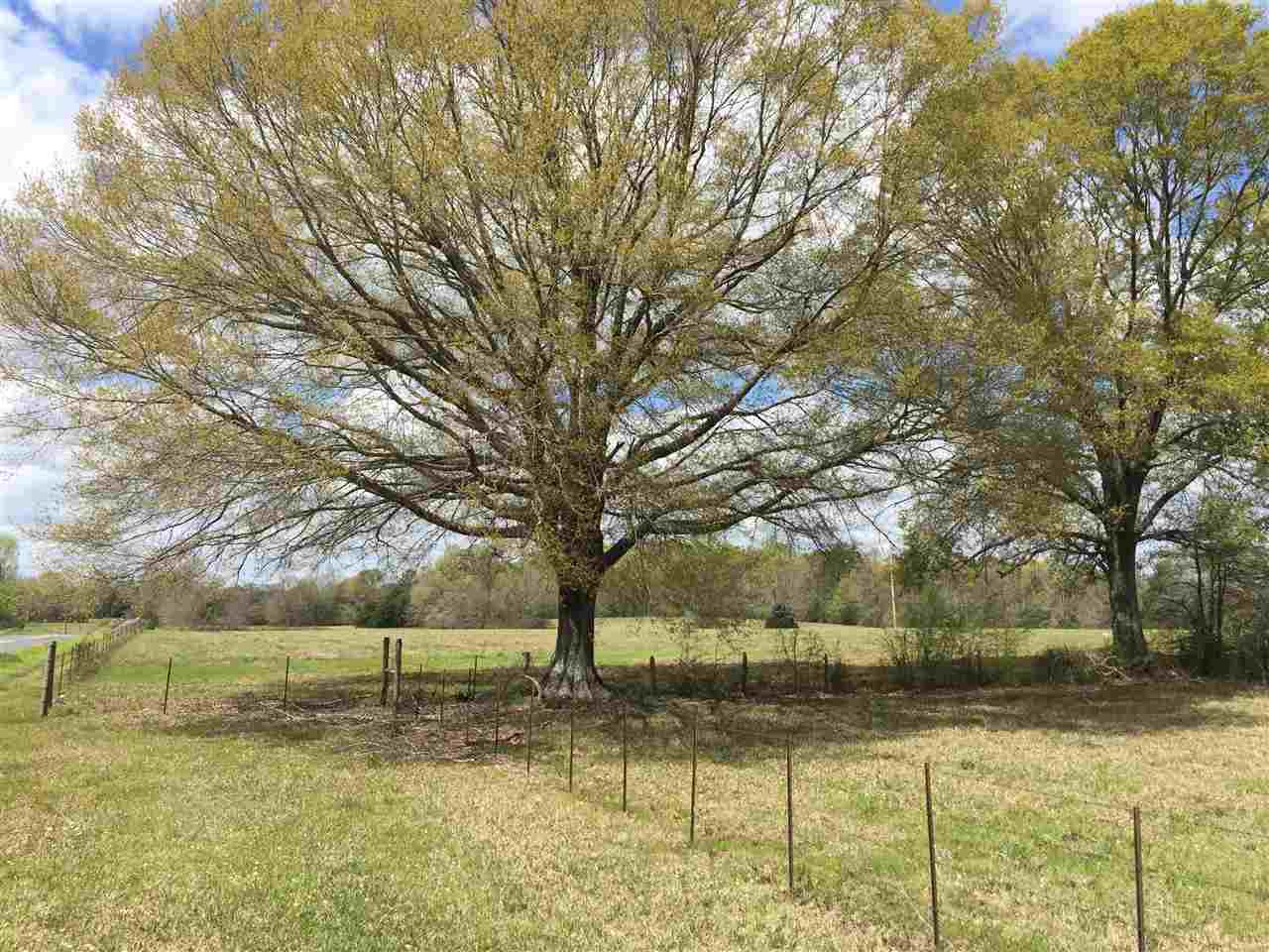 0 Kickapoo Road Jackson, MS 39209 - Photo 5 of 6 Photo 5