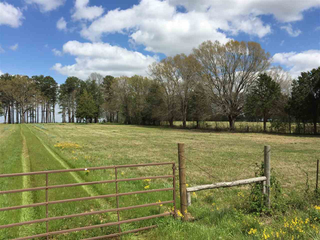 0 Kickapoo Road Jackson, MS 39209 - Photo 6 of 6 Photo 6