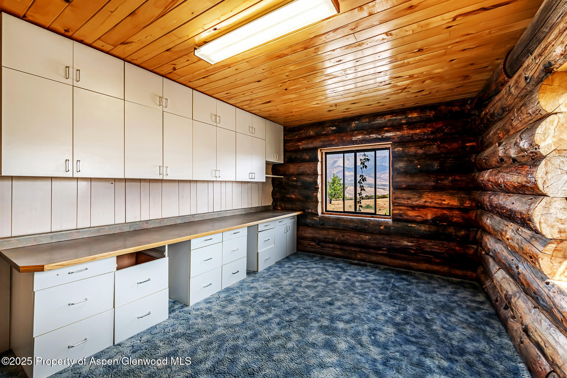 6194 County Road 320 Rifle, CO 81650 - Photo 36 of 54 DSC_4246-HDR