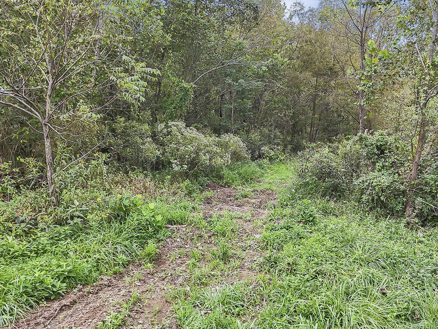 0 Cr E Road Pomeroy, OH 45769 - Photo 71 of 82 80-web-or-mls-DJI_20260918233926_0118_D