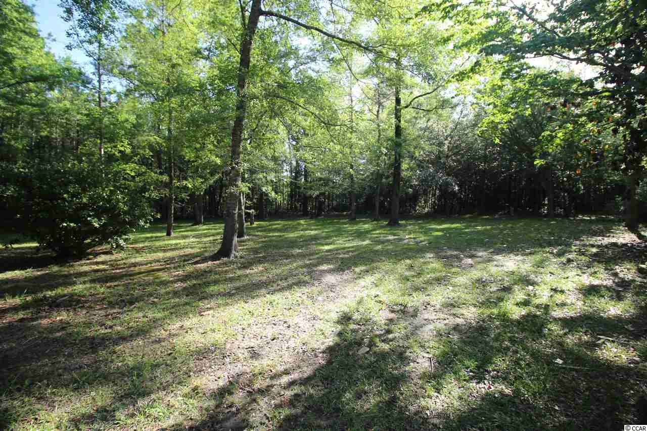 4850 Saints Delight Road Georgetown, SC 29440 - Photo 15 of 17 Gallery Image 15